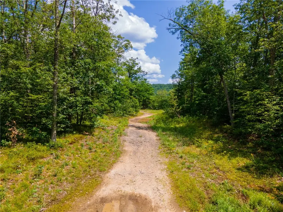 L16 Mt Path, Middleburgh, NY 12122 - #2