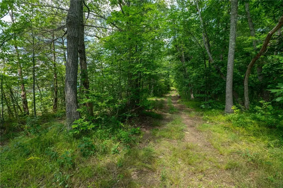 L16 Mt Path, Middleburgh, NY 12122 - #3