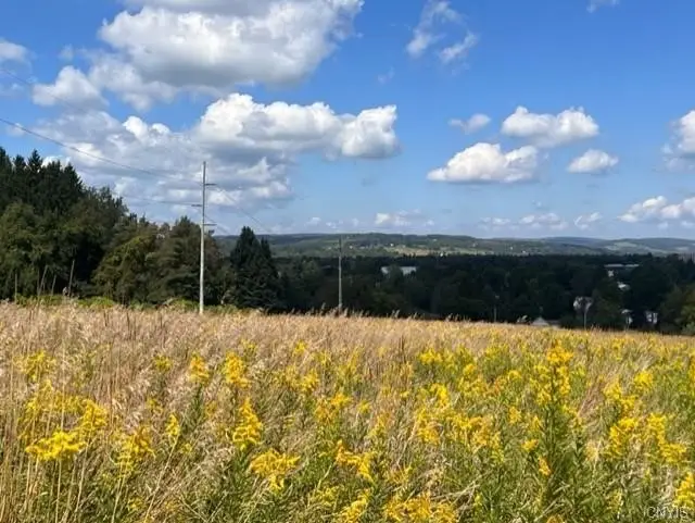 Starr Road, Cortland, NY 13045 - Image #2