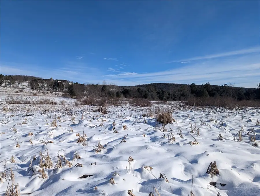 638 Phillips-odell Road, Guilford Town, NY 13809 - Image #3