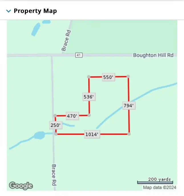 0 Brace Road - 12.9 Acres, Victor, NY 14564 - Image #2