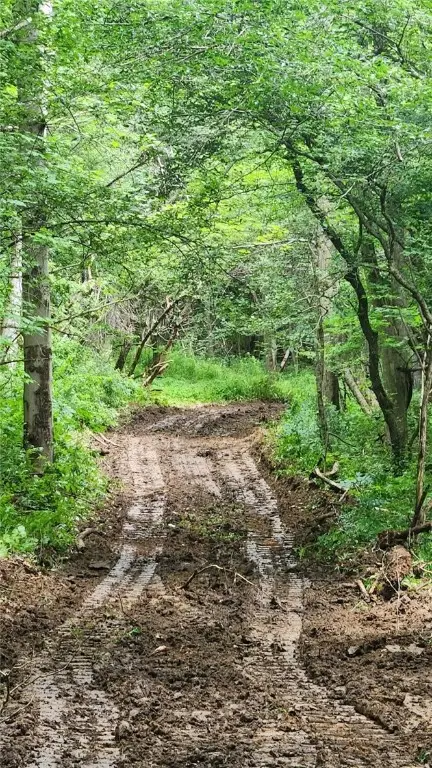 6291 Burke Road, Prattsburgh, NY 14873 - Image #3