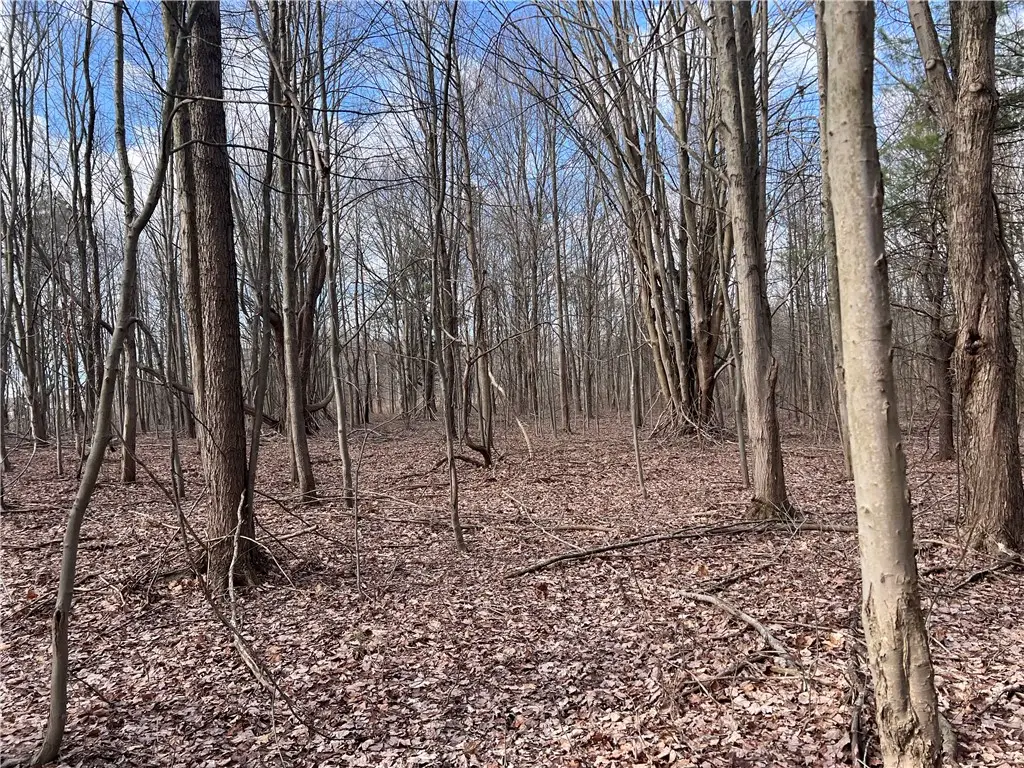0 Ryther Road, Angola, NY 14006 - Image #1