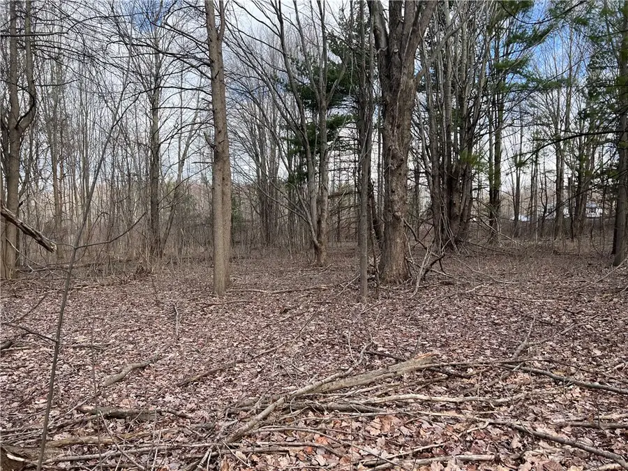 0 Ryther Road, Angola, NY 14006 - Image #2