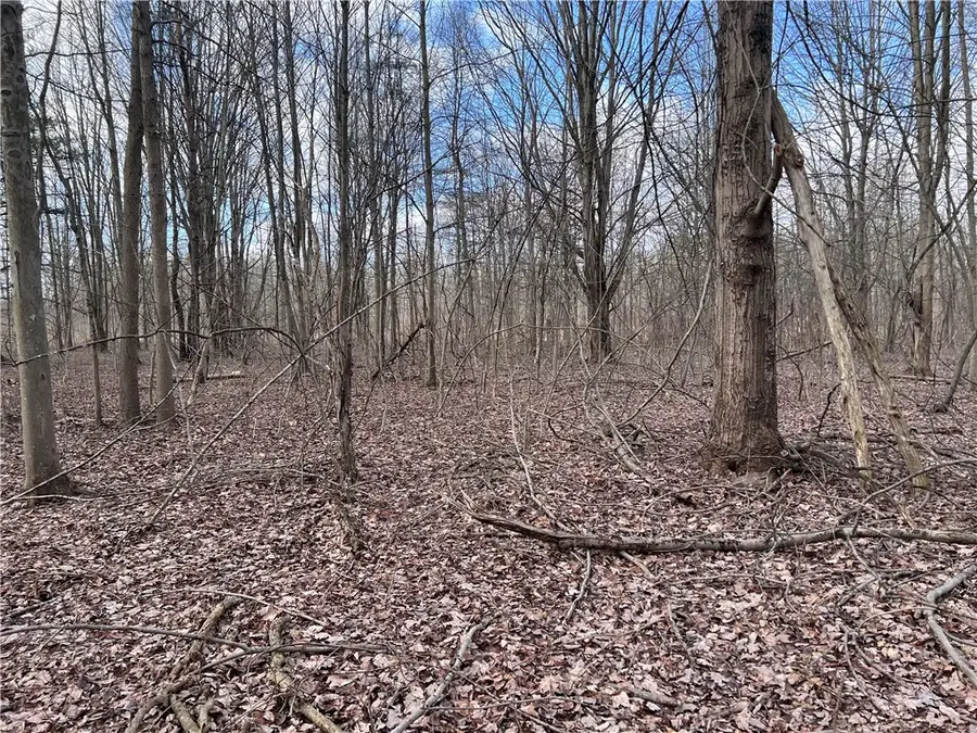 0 Ryther Road, Angola, NY 14006 - Image #3