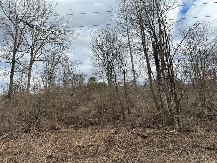 Address Withheld By Seller, Butternuts, NY 13776 - Image #2