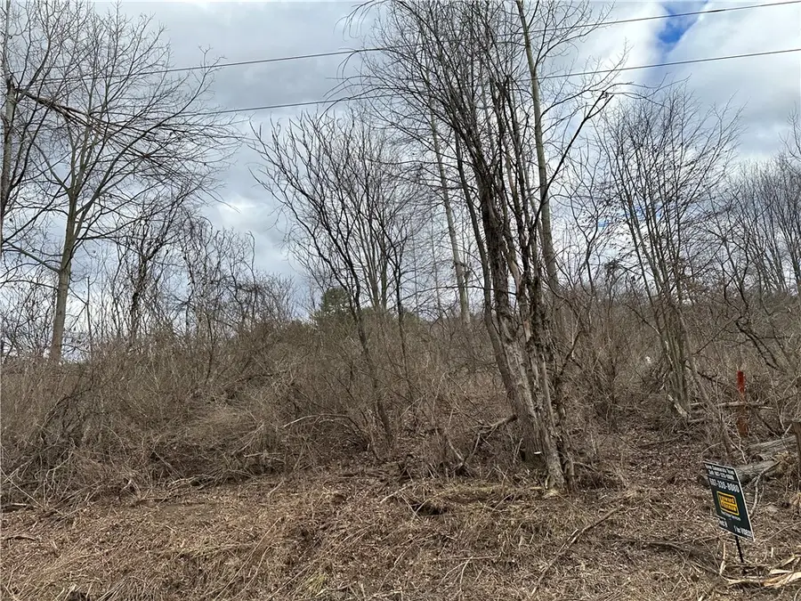 Address Withheld By Seller, Butternuts, NY 13776 - Image #3