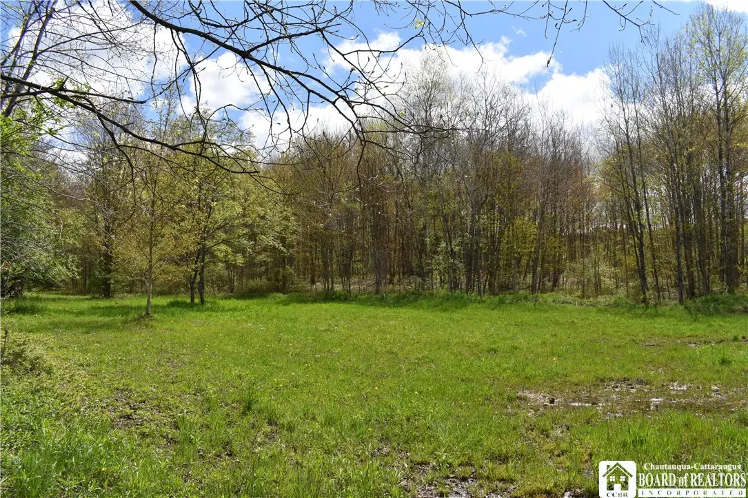 Earl Seaton Rd., Randolph, NY 14772 - Image #1