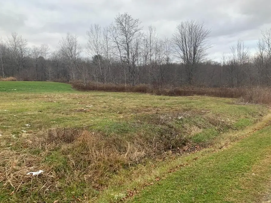0 Phillips Odell Road, Mount Upton, NY 13809 - Image #2