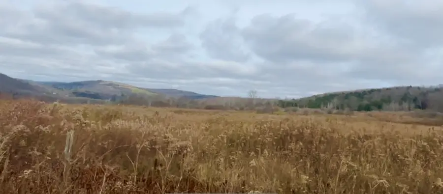 0 County Road 42, South Otselic, NY 13155 - Image #3