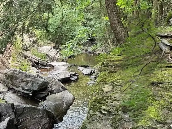 Bragg Hollow Road, Margaretville, NY 12455 - Image #2