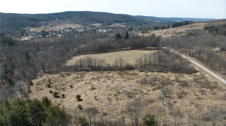 0 Foster Road, Masonville, NY 13804 - Image #3