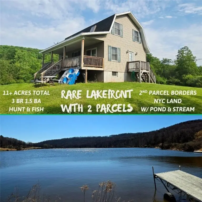 81 Lake Shore Drive, South Kortright, NY 13842 - Image #1