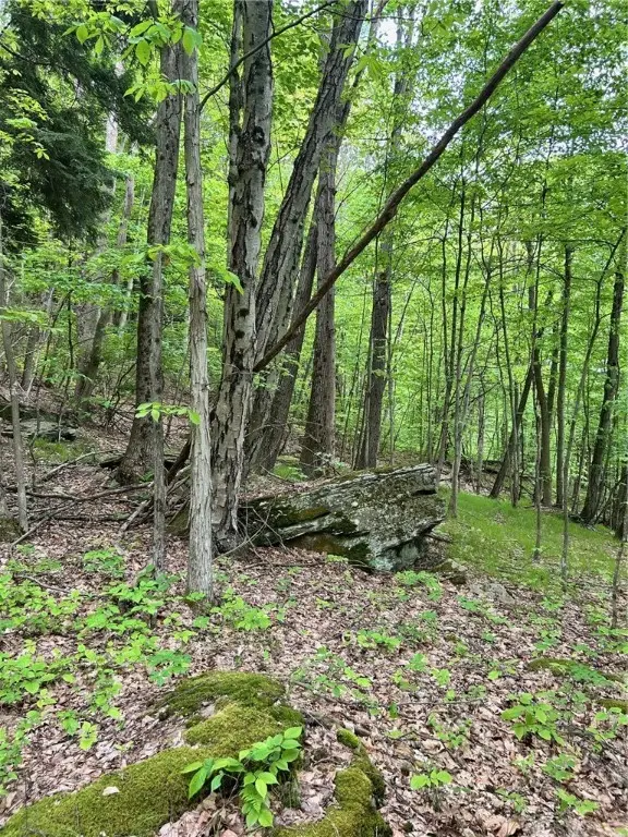 512 County Road 18, Mount Upton, NY 13809 - Image #1