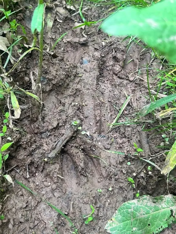 512 County Road 18, Mount Upton, NY 13809 - Image #2