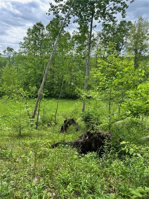 512 County Road 18, Mount Upton, NY 13809 - Image #3