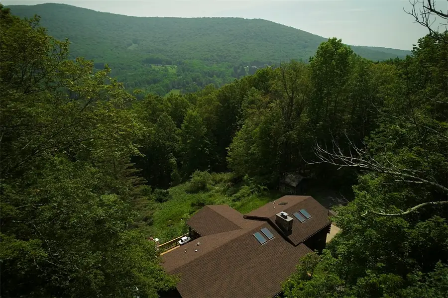 38 Woodchuck Road, Roxbury, NY 12474 - Image #2