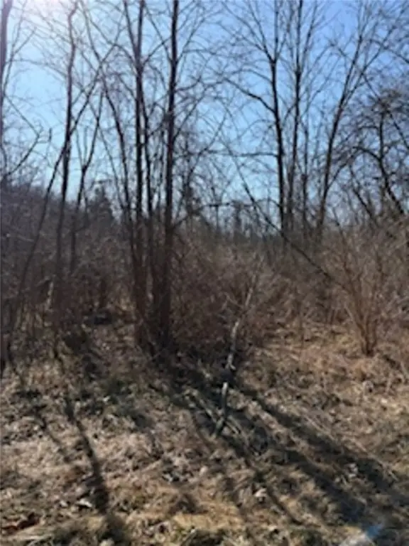 South Holley Road, Clarendon, NY 14429 - Image #2