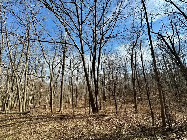 0 Belle Cornell/state Route 414 Drive, Montour Falls, NY 14865