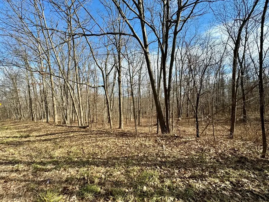 0 Belle Cornell/state Route 414 Drive, Montour Falls, NY 14865 - Image #2