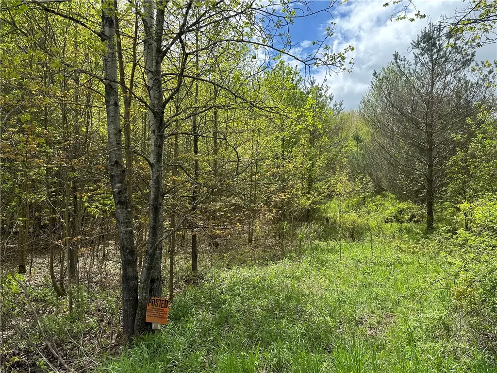 0 Pine Tree Road, New Berlin, NY 13411 - Image #1