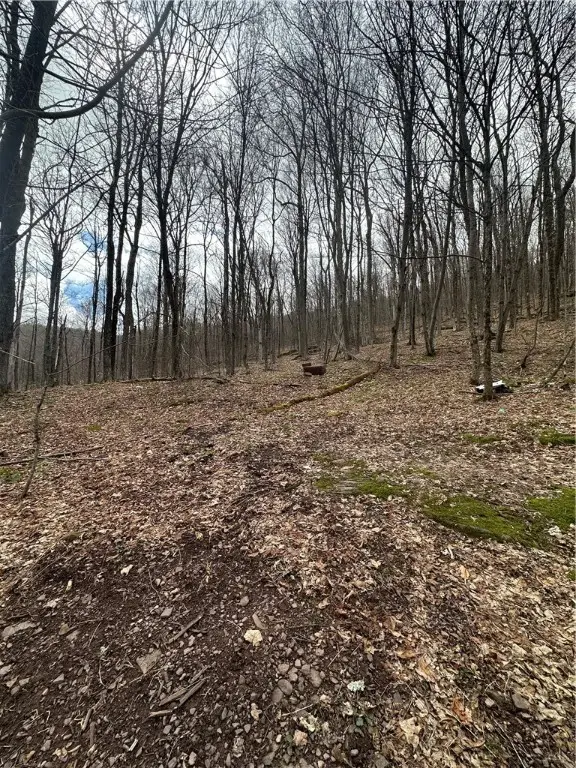 Kims Way, Stamford, NY 12167