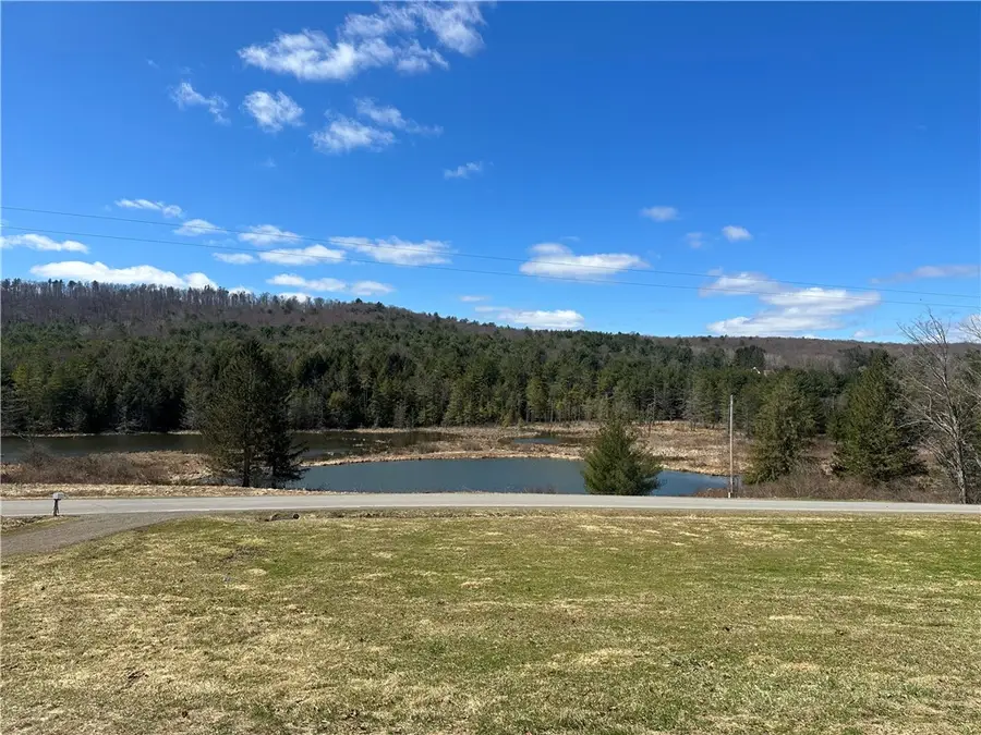 564 Ideuma Road, Unadilla, NY 13849 - Image #3