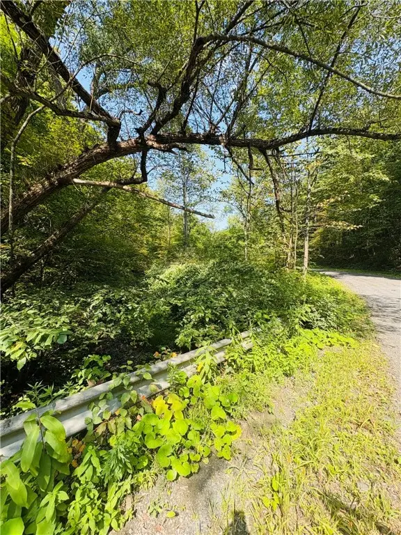 Morris Hill Road, Millport, NY 14864 - Image #1