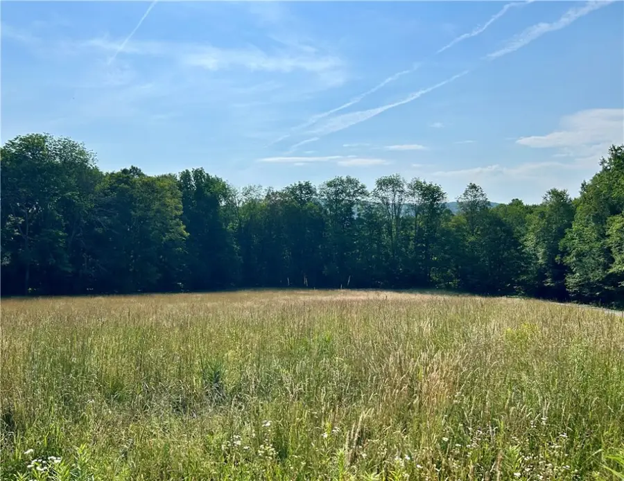 Hamden Hill Road, Delhi, NY 13753 - Image #2