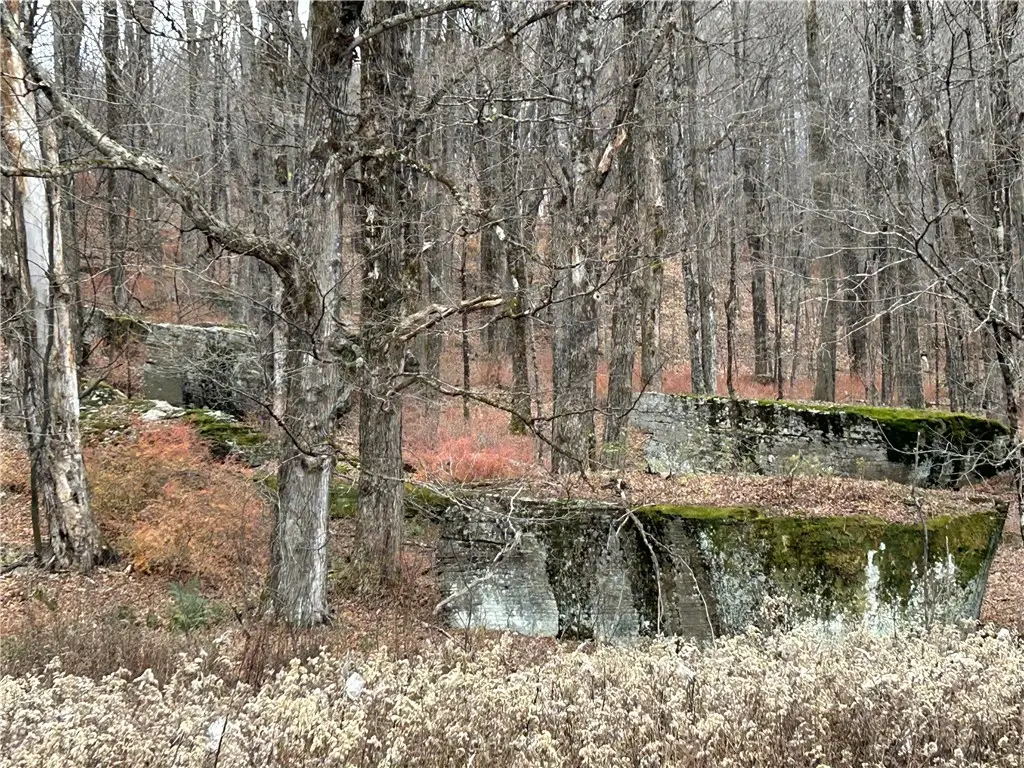 Upper Punchbowl Road, Roscoe, NY 12776 - Image #1