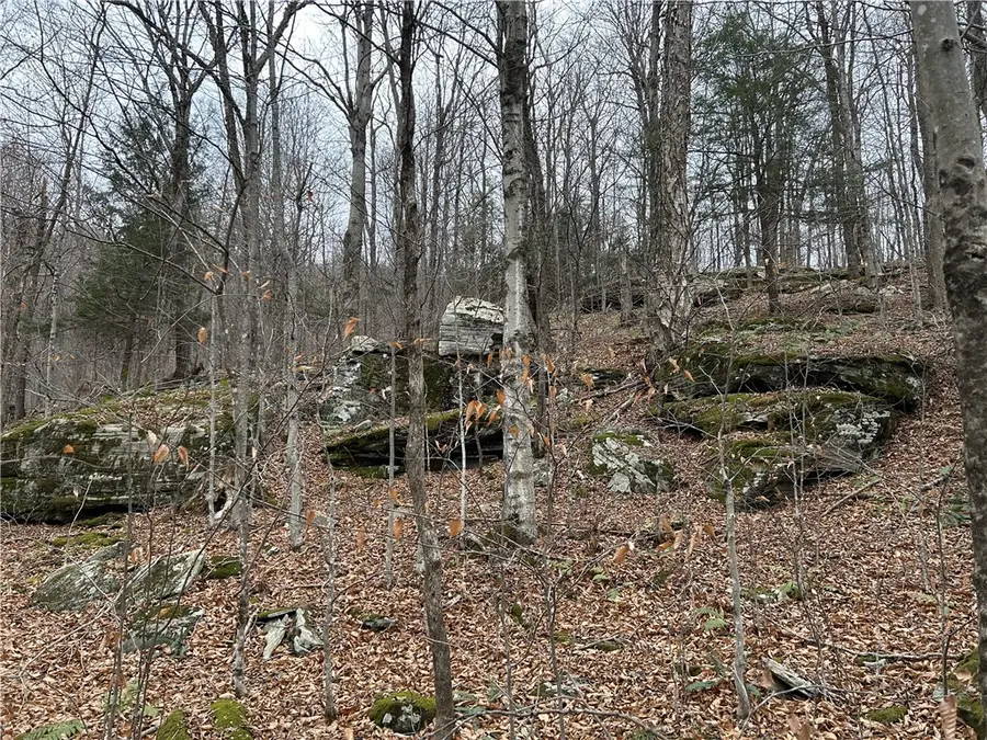 Upper Punchbowl Road, Roscoe, NY 12776 - Image #2