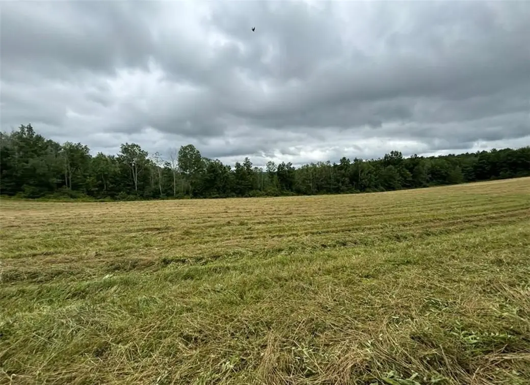 00 Browntown Road Lot 3, Lindley, NY 14858 - Image #1