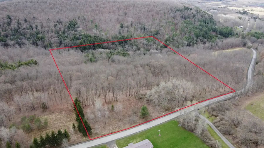 Pritchard Road, West Winfield, NY 13491 - Image #2