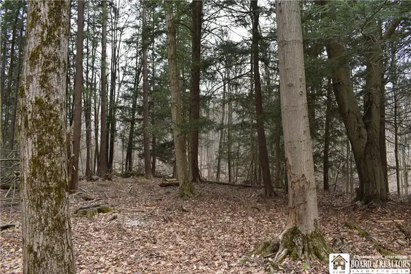 0 Hammond Hill Road, East Otto, NY 14729