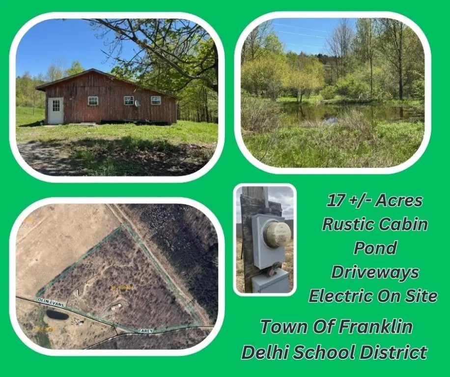 64 Olin Evans Road, Franklin, NY 13775 - #1