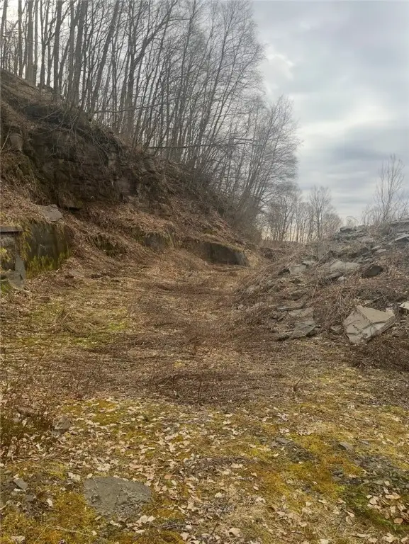 Houck Mountain Road, Walton, NY 13856 - Image #2