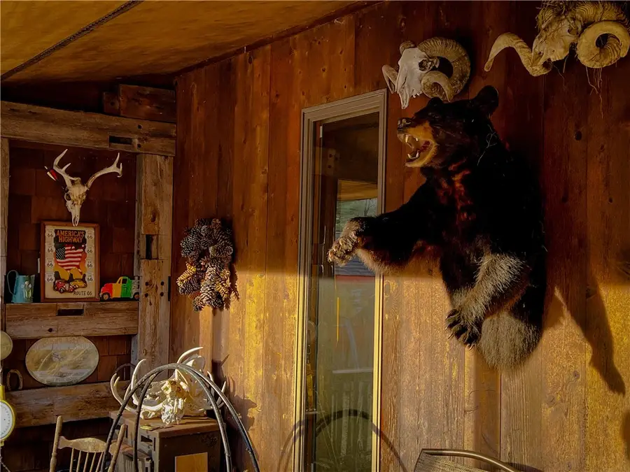 46 Beaverkill Mountain Road, Roscoe, NY 12776 - Image #2