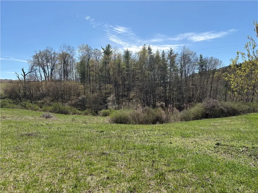 County Road 46 Lower Ravine Road, Norwich, NY 13815 - Image #3