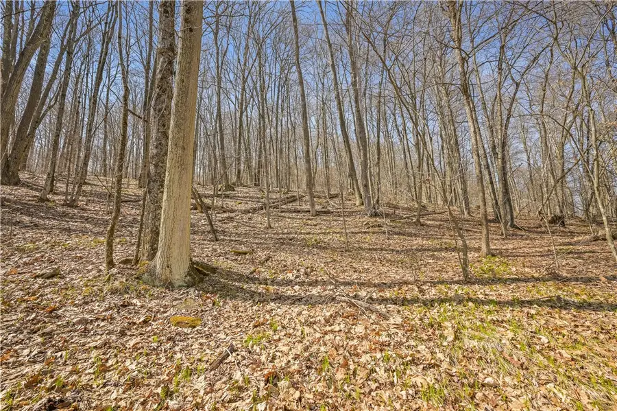 L9.113 Lutheranville Road, East Worcester, NY 12064 - Image #3