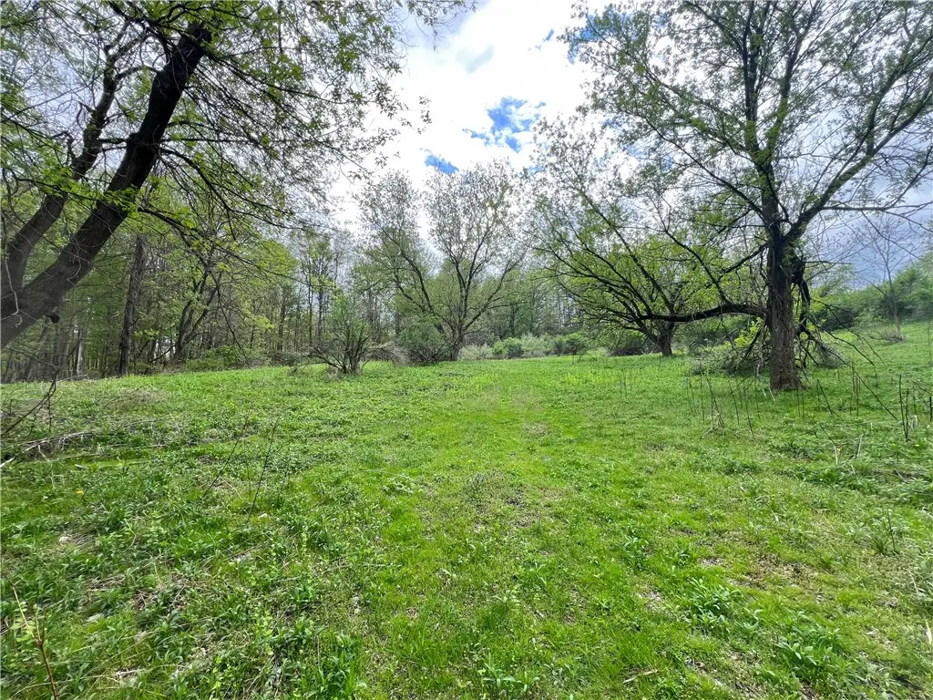 0 Brown Road, Spencer, NY 14883 - Image #1