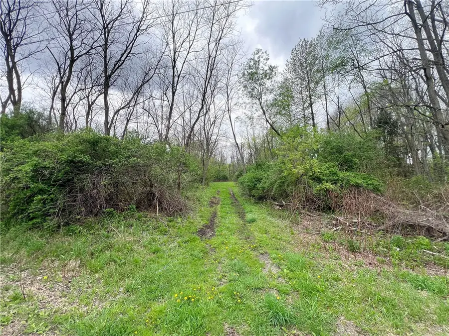 0 Brown Road, Spencer, NY 14883 - Image #2