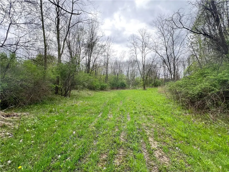 0 Brown Road, Spencer, NY 14883 - Image #3