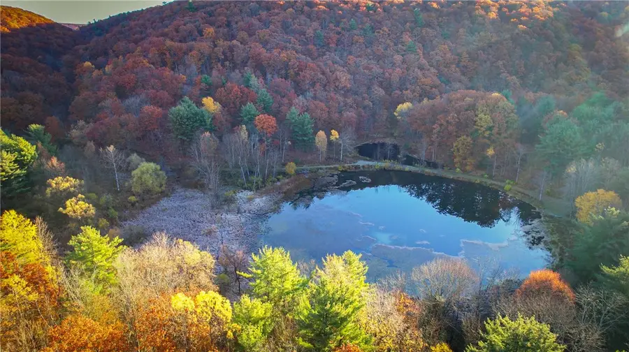 7667 Hickory Bottom Road, Naples, NY 14512 - Image #2