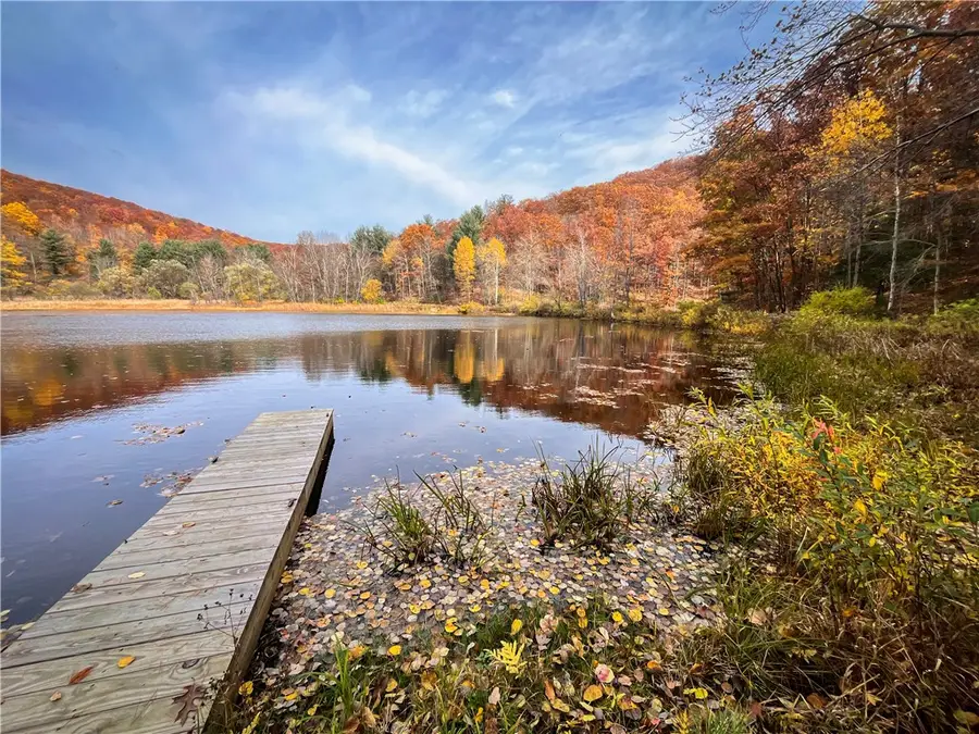 7667 Hickory Bottom Road, Naples, NY 14512 - Image #3