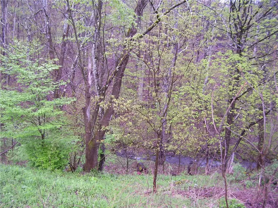 328 Whaupaunaucau Road, Norwich, NY 13815 - Image #2