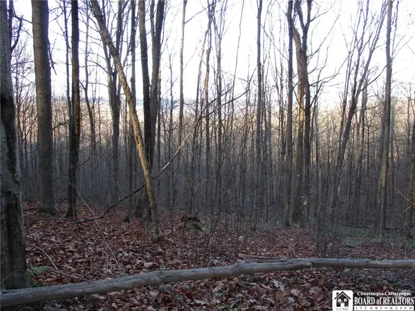 Off Jackson Hill Rd, Cuba, NY 14727