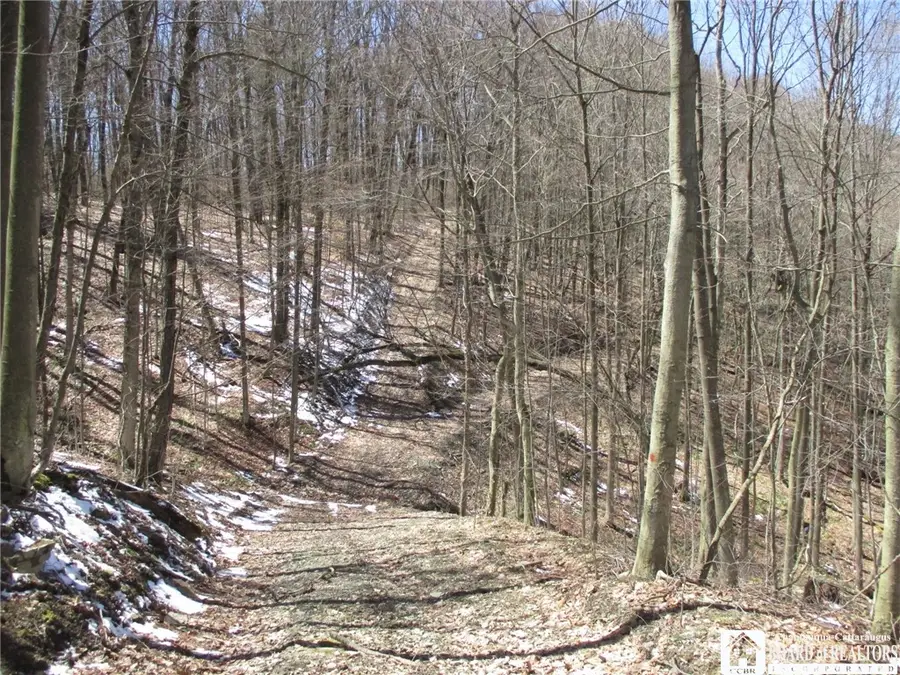 Off Jackson Hill Rd, Cuba, NY 14727 - Image #2