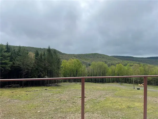 100 Buchanan Road, Windsor, NY 13865