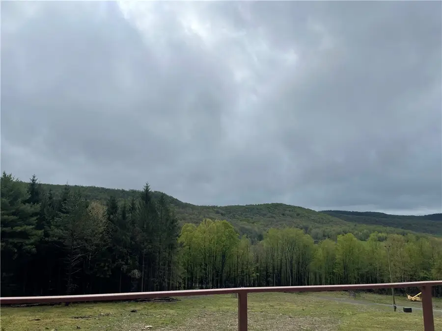 100 Buchanan Road, Windsor, NY 13865 - Image #2