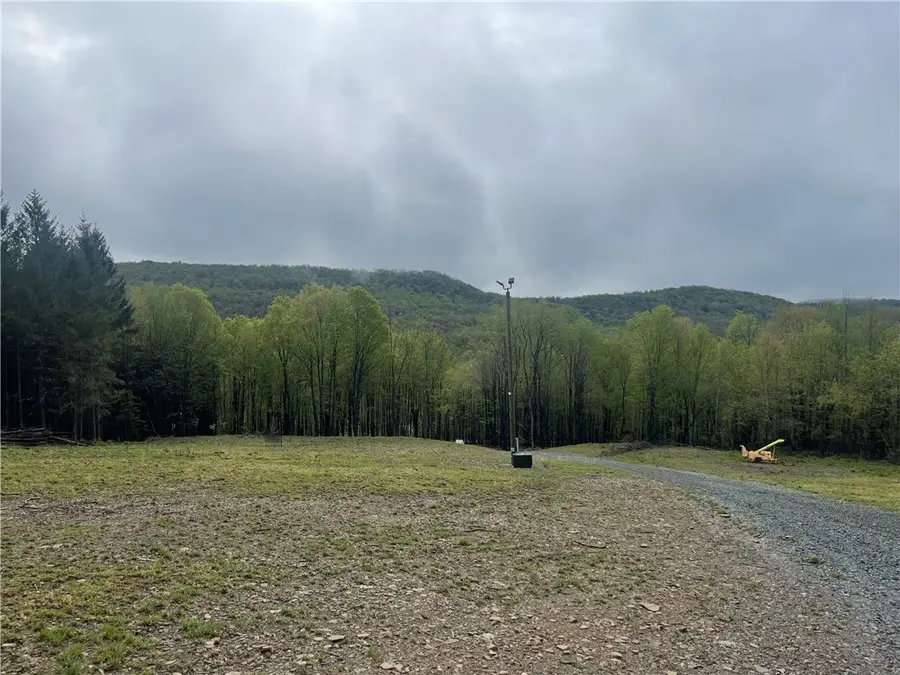 100 Buchanan Road, Windsor, NY 13865 - Image #3